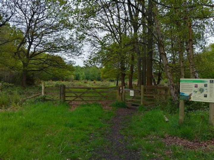 Exploring Greensheets West Berkshire: A Local Treasure