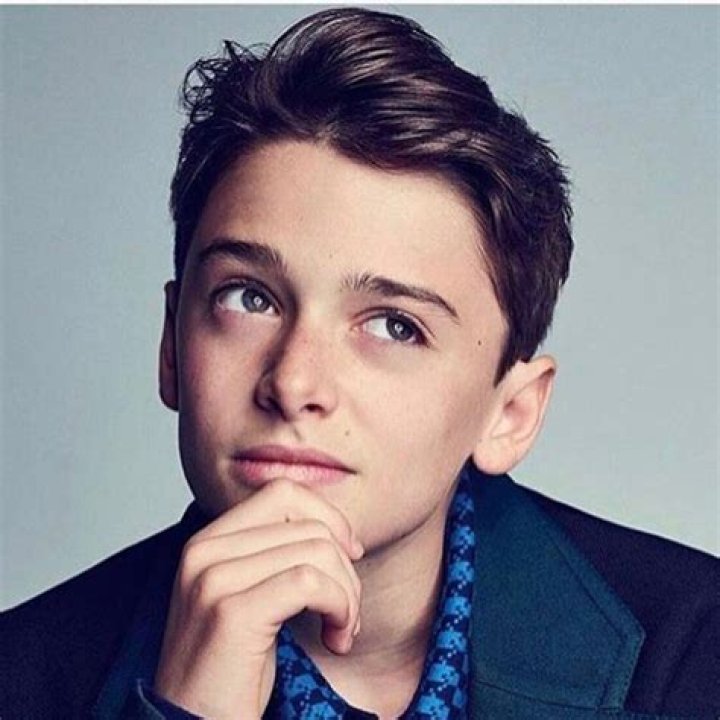 Noah Schnapp: Rising Star of the Entertainment World