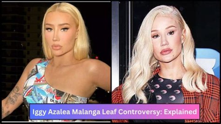 Unveiling the Controversy: Iggy Azalea Leaks and Their Impact